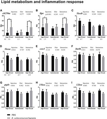 Nutritional immunomodulation of Atlantic salmon response to Renibacterium salmoninarum bacterin